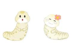 梦见蛹好不好   做梦梦见蛹是什么预兆