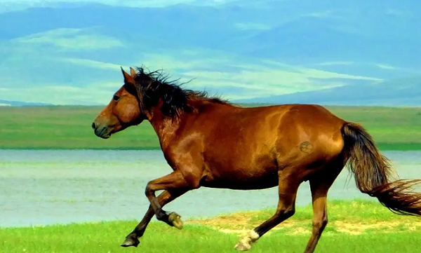 4-22032GQ3092J.png 4-22032GQ3092J.png