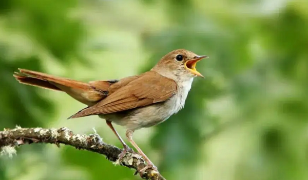 4-22032GQ542400.png 4-22032GQ542400.png